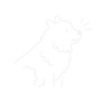 Visio conseils choix d’un chien