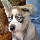 Les services de l'empreinte